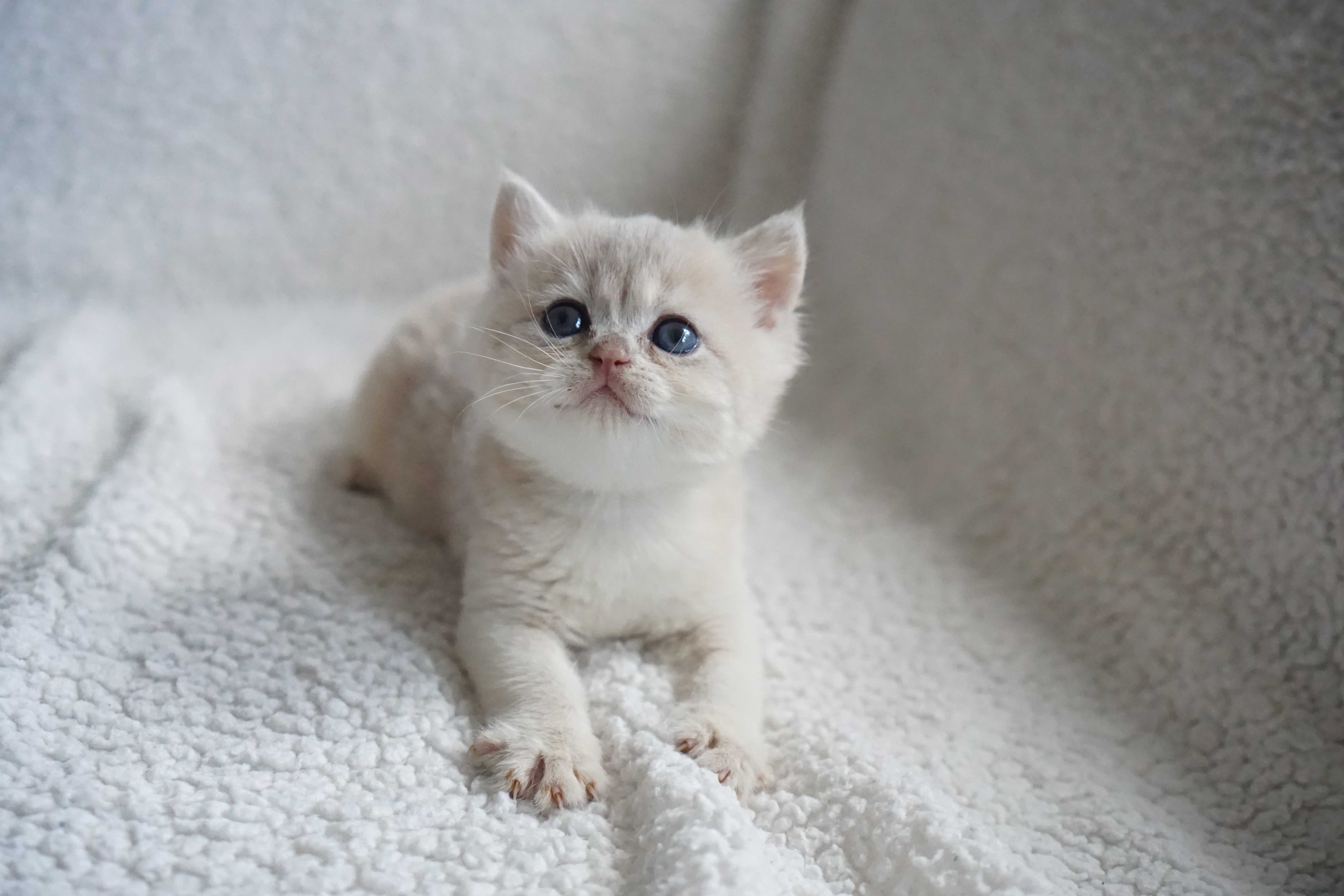 Oliver